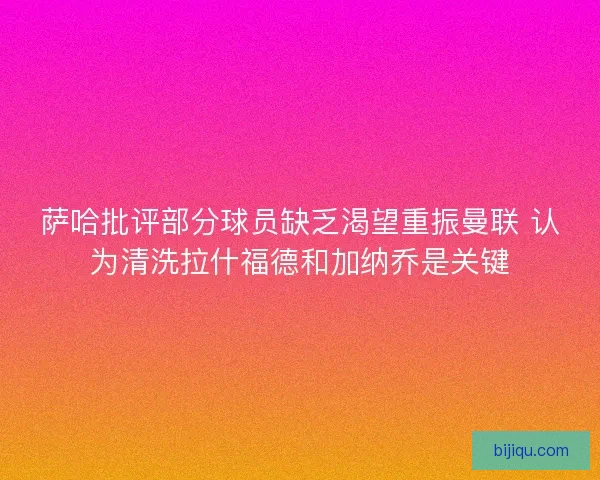 萨哈批评部分球员缺乏渴望重振曼联 认为清洗拉什福德和加纳乔是关键